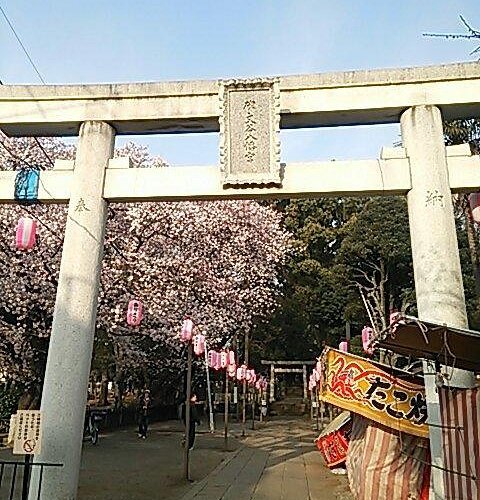 🌳 히몬야 공원(히몬야코엔) 이미지 6